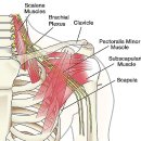 포바즈한의원 이미지