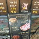 꼬야애견 이미지