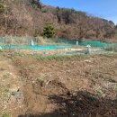 사곡리농장 이미지