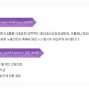 노블진 결혼정보회사 이미지