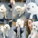 루이야 학교가자 이미지