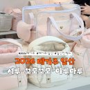 (주)게델와이 | 2026 메가주 일산 시즌1 후기 🐶 서루 SEORU ·꼬모꼬모·두즈·아루마루 | 서루에서 탕진하다 ,,