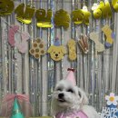 간식잇댕 이미지