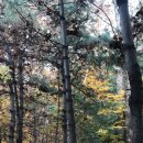 케이디종합건설㈜ 이미지