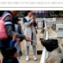 동산제1호 이미지