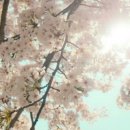 사계절미용실 - 김천시 | 사계절미용실