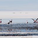 볼리비아(Bolivia) 우유니 소금사막(Salar de uyuni) 이미지