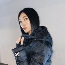 헤이제이 이미지