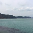 피31(P31) | [독서 후기 | 경제.경영 | 기업 경영] '성경대로 비즈니스하기 P31'을 읽고