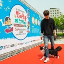 댕댕아 놀자 이미지