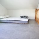 멍스타애견 이미지