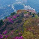 2018.4.7 토요일 진해 장복산 벚꽃산행 갑니다. 이미지