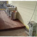 아잘리아그린 이미지