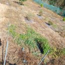 기봉농장 이미지