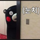 몬스터워시 이미지