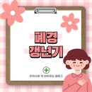 여성 폐경·갱년기 증상 및 치료방법