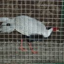 무지개가든 이미지