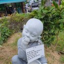 미르공인중개사사무소 이미지