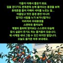 계절의 흥취 이미지
