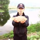 이평제 Daum카페