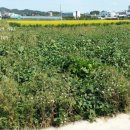 직산농장 이미지