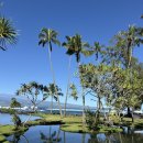 화산공원 | 하와이 빅아일랜드 화산국립공원 일일투어 한인가이드 후기 정리