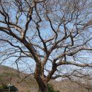 월영동121 이미지