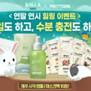 포레스트 이미지