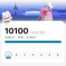 보스참치(송파점) | Archivist