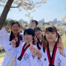 고일 태권도장 이미지