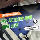 블루하임 | 아이오닉9 실내 분위기를 바꾸다, 모빌하임 P3 시그니처 블루 시공 <올댓화성동탄>