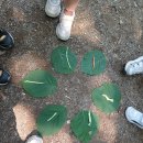 해여울어린이집 이미지