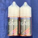이그니스 이미지