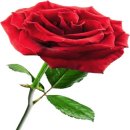 신왕지낚시터 이미지