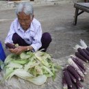 꽃순이네 이미지