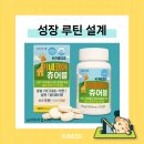 키네코어 이미지