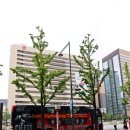 주식회사버스투어여행사 이미지