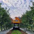 가나안농원 이미지