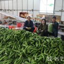 천현농장 이미지