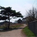 진등3로 이미지