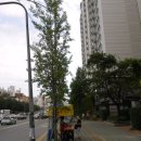 (유)석정건설 - 서구 | 인천시 남동구 간석동 간석신동아파밀리에명품 103동 2층 85㎡ (26평) 인천14계 2017-26265 아파트경매