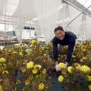 김선규농장 이미지