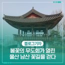 제일무도장 | 울산 남산 꽃길을 걷다
