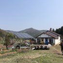 아리숲펜션 이미지