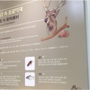 지로한의원 이미지