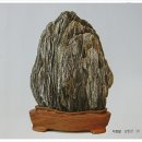 여주-0915 이미지