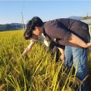 김상진농장 이미지