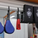 경희대태권도 이미지