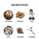 코끼리식품 이미지