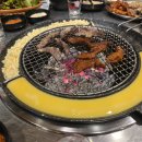 신갈매기